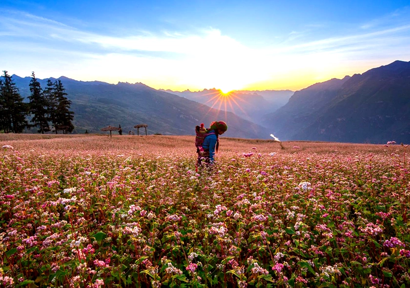 When is the Best Time to Travel Around Hà Giang?